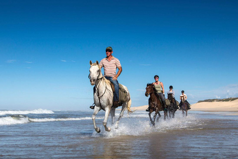 Agadir y Taghazout 2 horas a caballo y masaje relajanteAgadir o Taghazout: Paseo a caballo y masaje relajante