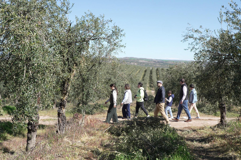 Toledo: Olive Oil Mill Tour & Tasting 4 EVOO Casas de Hualdo