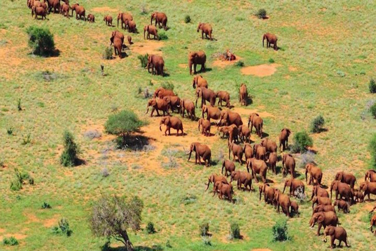 Nairobi: Safari di 6 giorni ai laghi della RiftValley e al Masai Mara con ...