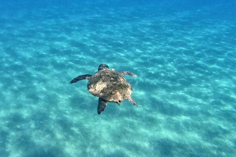 Agios Sostis: Marathonissi, Keri-Höhlen, Schildkrötenbeobachtung