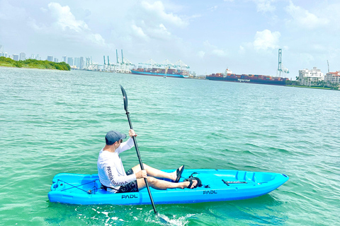 Miami: Noleggio di tavole da paddle o kayak a Virginia KeyMiami: Noleggio di kayak in tandem a Virginia Key