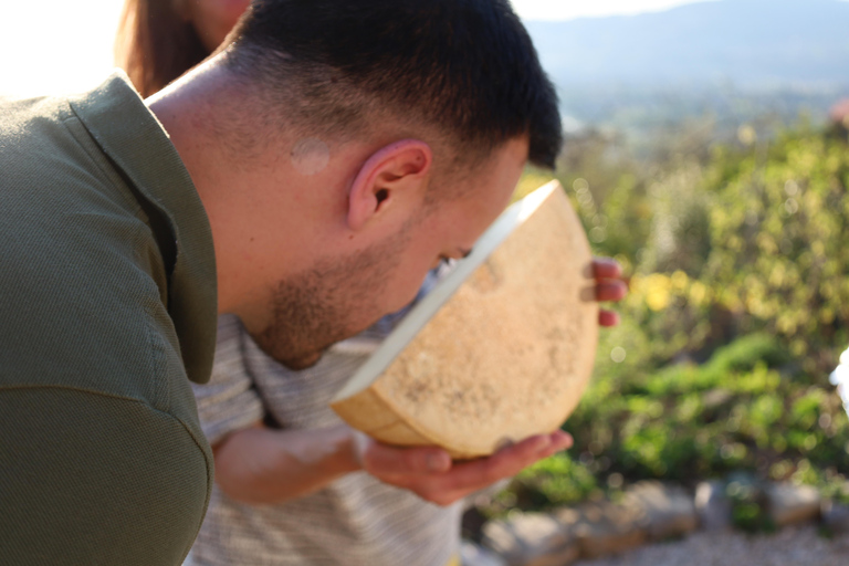 Montreux: assaggia il formaggio come un locale con vista sul lago e sulle montagneMontreux: assaggia il formaggio come un vero locale con vista sul lago e sulle montagne