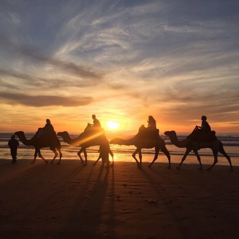Visit Agadir Sunset Camel Ride with BBQ and Couscous in Agadir