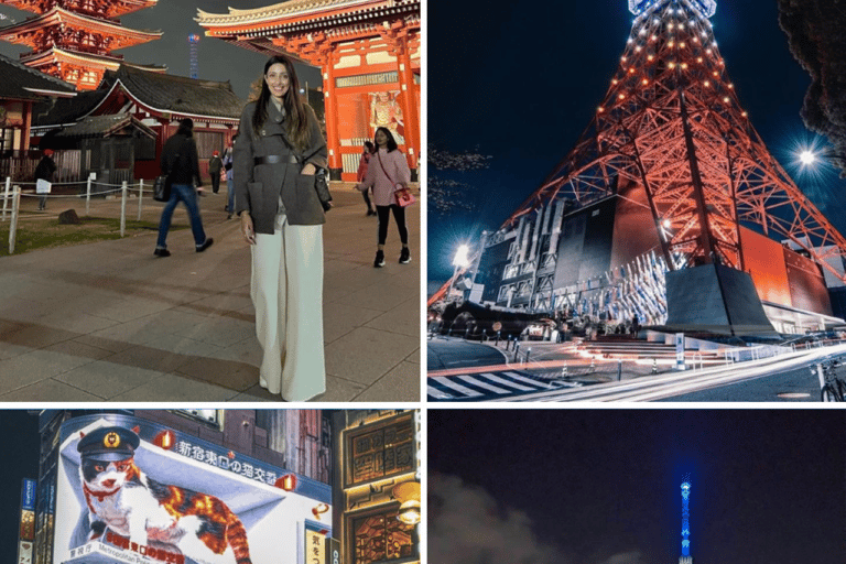 Tokyo Night Private Tour With English Speaking Driver