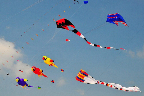 Jaipur: Makar Sankranti Drachenfest mit einheimischer Familie