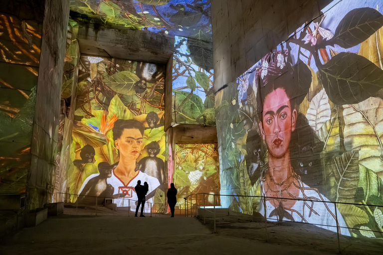 Les Baux-de-Provence: Carrières des Lumières Picasso-Frida Kahlo ticket