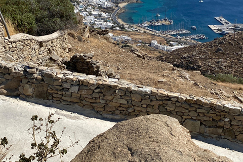 Guided Mykonos ATV adventure; Off-Road Tour with Beach Stop