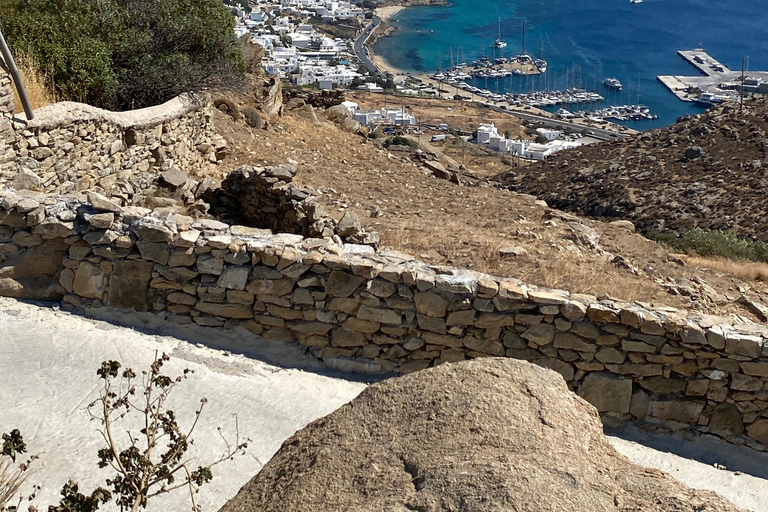Guided Mykonos ATV adventure; Off-Road Tour with Beach Stop