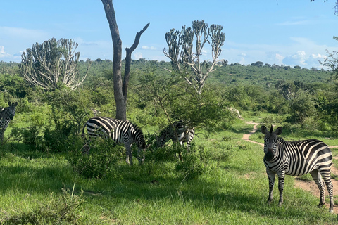Entebbe: Nationaal Park Lake Mburo, Equator Tour &amp; Rondvaart
