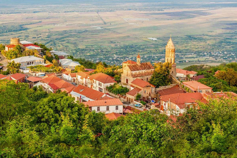 جولة جماعية إرشادية في منطقة النبيذ والتاريخ في تبليسي كاخيتي