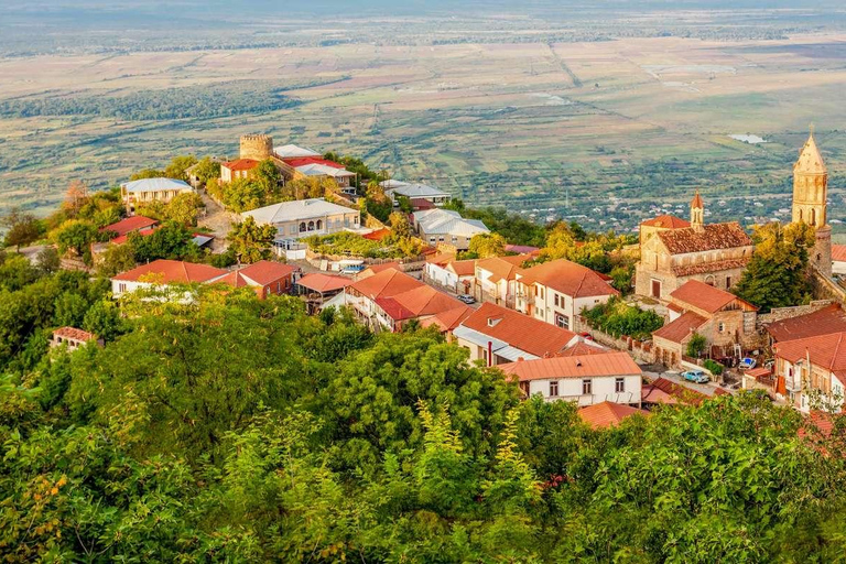 جولة جماعية إرشادية في منطقة النبيذ والتاريخ في تبليسي كاخيتي