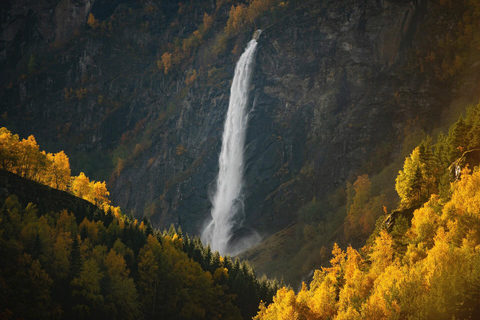 Bergen: Guidad tur, kryssning i Nærøyfjorden och FlåmsbanaBergen: Guidad heldagstur till Naeröyfjord och Flåmsbana