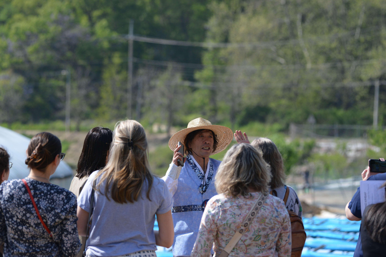 From Seoul: Make Your Own Chilli Paste & Ginseng Liquor Tour