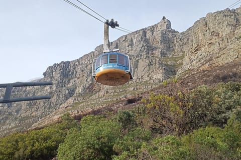 From Cape Town: Table Mountain, Boulders Beach & Cape Tour