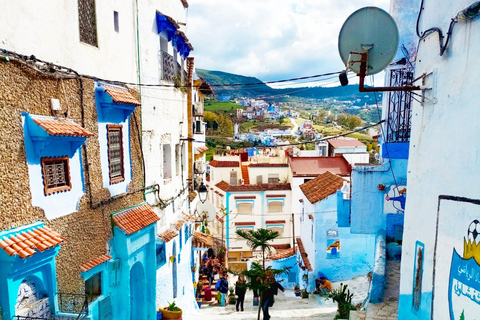 De Fez: Viagem de 1 dia a Chefchaouen com motorista para um grupo de 8 pessoas