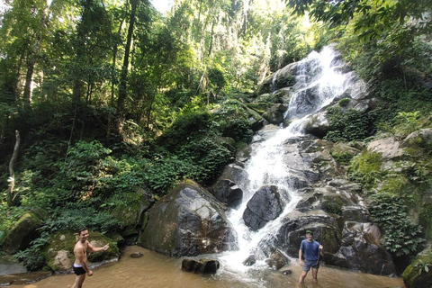 Chiang Rai: Jungle Adventure-Group Trekking & Bamboo Cooking