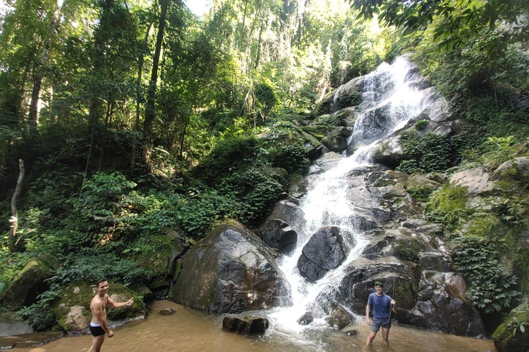 Chiang Rai: Jungle Adventure-Group Trekking & Bamboo Cooking