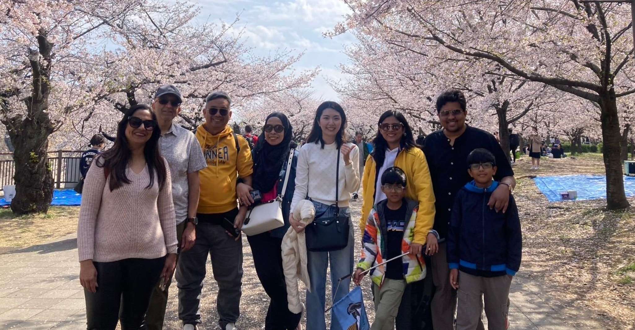 Osaka Sakura Special: Walking Tour and Top Highlights