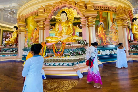 Depuis Ella : visite du temple et du monastère de Mahamevnawa