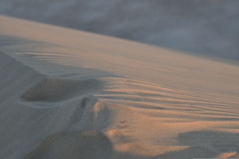 Woestijnsafari, dunebashing, kamelenrit, zandboarden, zonsondergang