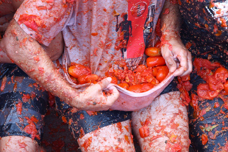 From Valencia: Experience La Tomatina 2026 with Private Transportation and an Expert Guide