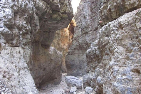 Desde Chania: Excursión de un día por el desfiladero de Imbros y la ruta de senderismo y natación de Sfakia