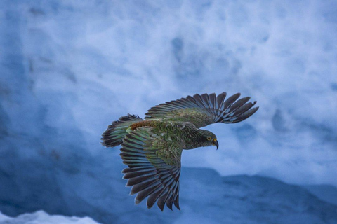 Van Franz Josef: TranzAlpine &amp; bustour naar Christchurch