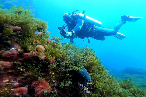 Erlebe den Nervenkitzel des Tauchens in Marokko Fun Dives