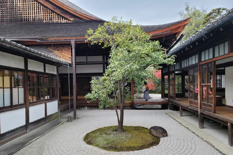 Kyoto : Whispers of Art, Zen &Love Couple’s Journey in Kyoto