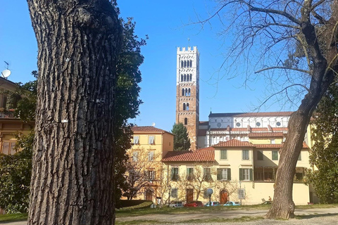 Visit Pisa & Lucca with lunch in a family-run winery Visit Pisa & Lucca with lunch in a family-run winery farm