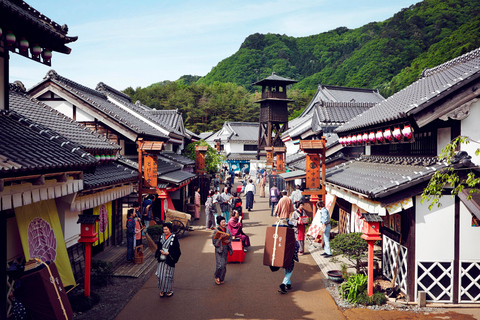 Nikko mit Stil: Luxuriöse Mercedes Tour