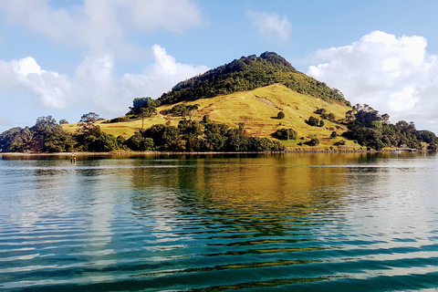 Rejs po porcie Tauranga