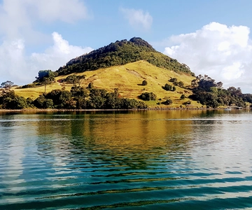 Tauranga Harbour Cruise