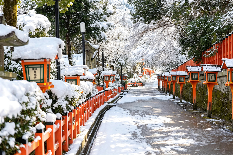 Osaka: Kiyomizu, Fushimi Inari, Nara & Gion Private Sightseeing Tours