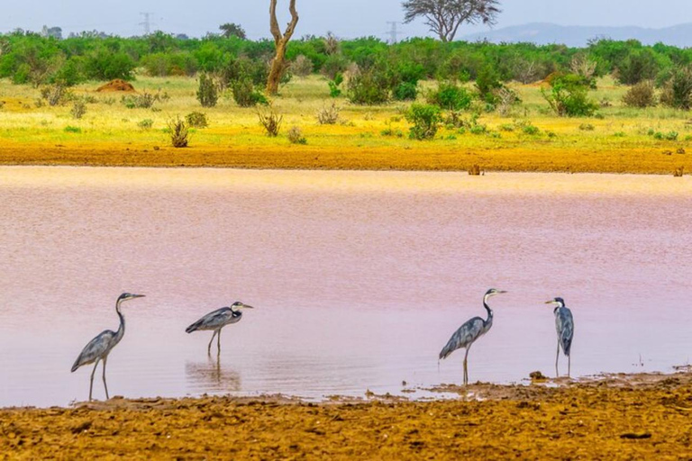 Mombasa/Diani: 3 Days Private Tsavo East & West Safari