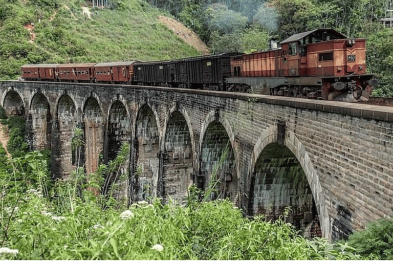 Ella: Full Day 6Highlights Tour by Tuk-Tuk