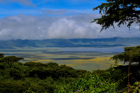 Arusha: Ngorongoro Crater Full-Day Safari Ngorongoro Crater: Full Day Safari