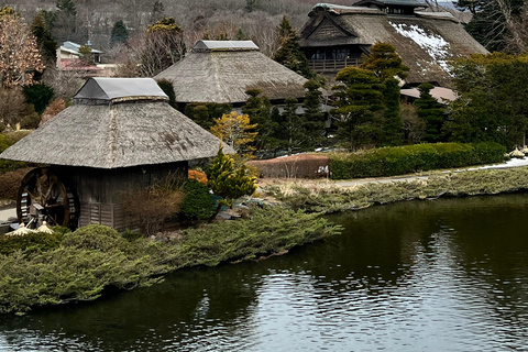 Från Tokyo / Yokohama: Privat dagsutflykt till Fuji-berget och Hakone