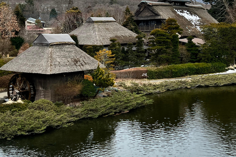 De Tóquio/Yokohama: Viagem particular de 1 dia para o Monte Fuji e Hakone