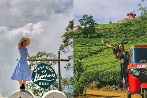 Lipton Seat Legacy: Tuk-Tuk & Train Tea Trails Tour