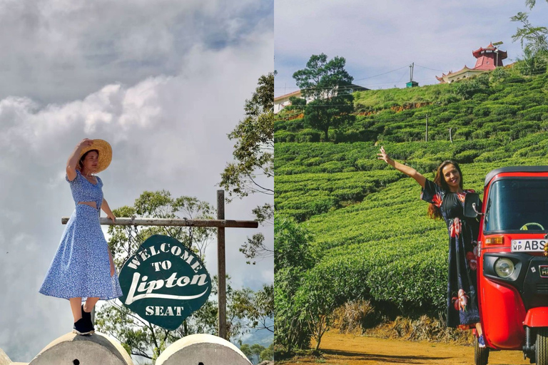 Lipton Seat Legacy: Tuk-Tuk & Train Tea Trails Tour