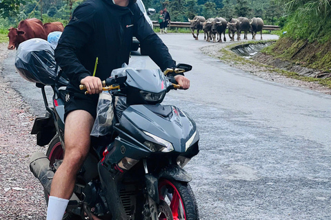 Ha Giang Loop: 4 Day Easy Rider Jasmine Tours