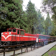 From Taipei: Private 3-Day Tour to Sun Moon Lake and Alishan