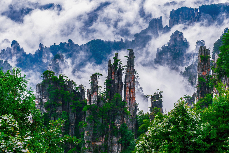 جولة ليوم واحد في منتزه تشانغجياجيه الوطني