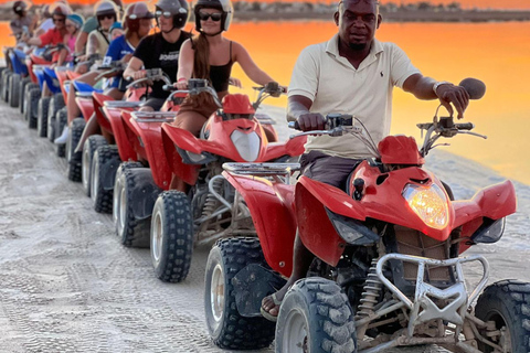 Djerba: paseo en quad de 1 h 30 hasta la isla de los flamencos rosas