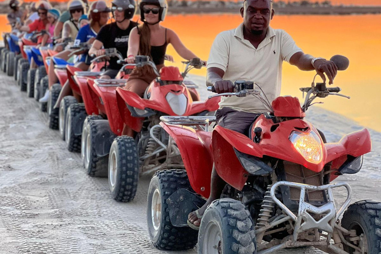 Djerba: quadrit van 1 uur en 30 minuten naar het eiland van de roze flamingo&#039;s