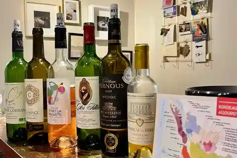 Bordeaux : cours de dégustation de vins de Bordeaux avec 6 vins