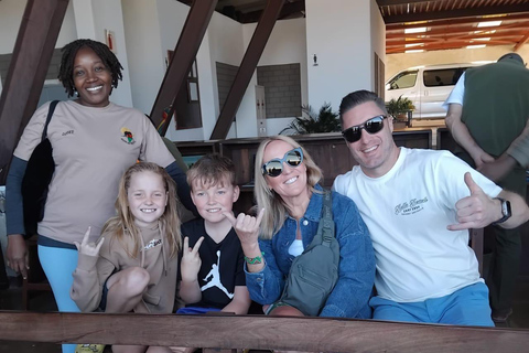 维多利亚瀑布：导览游和直升机飞行