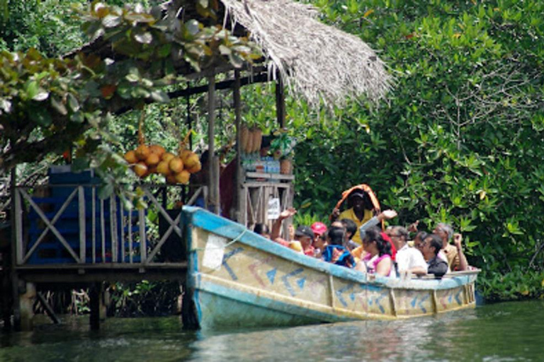 Sri Lanka : Circuit de découverte de la côte sud à la capitale de la culture