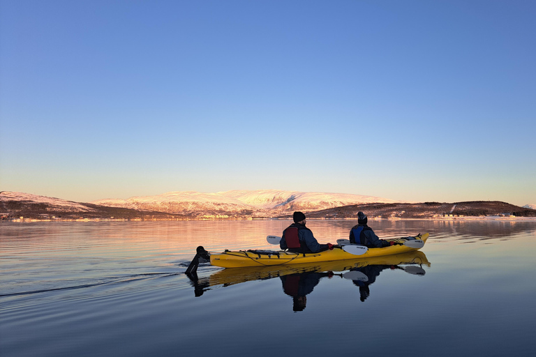 Tromsø: Easy Winter Kayaking Tour with Seal Watching